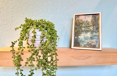 The Royal Cypress Suite Near UF Shands Downtown - Photo 42