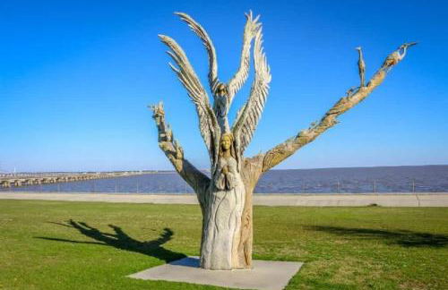 Hotty Toddy - Foto 55