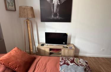 Studio Voyage - Proche centre ville - Foto 10