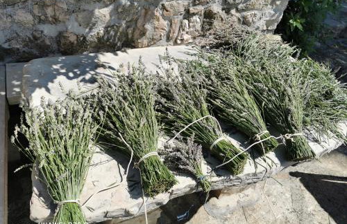 Authentic House Pelegrinka - Foto 22