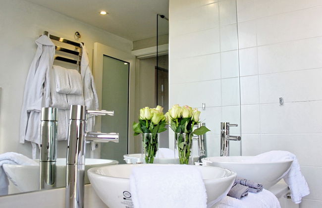 Maltese Maltese - Foto 49