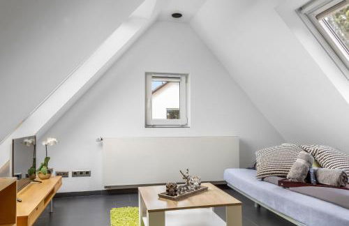 Gesamte Unterkunft - Büro - Küche - Netflix - Foto 4