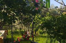 La casetta di Eve Casa Vacanze - Foto 45