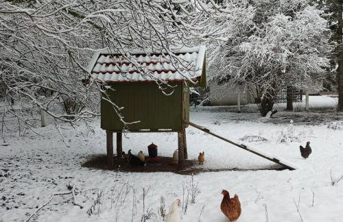 Siedlisko Pili Pili - Foto 72