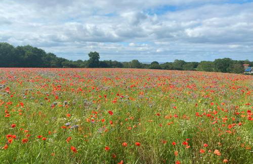 Neues Ferienhaus an der Ostsee+Terrasse+Sauna - Foto 34