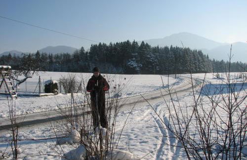 Beim Bicher - Photo 67