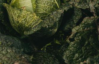 Agriturismo Giacomino - Foto 11