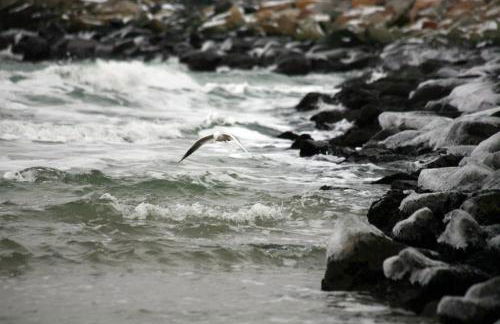 Kurpark-Oase - Foto 25