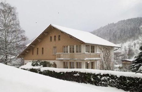 Chalet La Zaubette 8 personnes - Foto 1