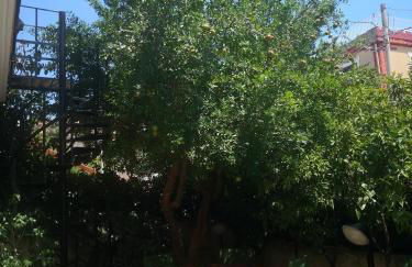 appartamento in villa a Pietragrande Villa Mi Vida - Photo 30