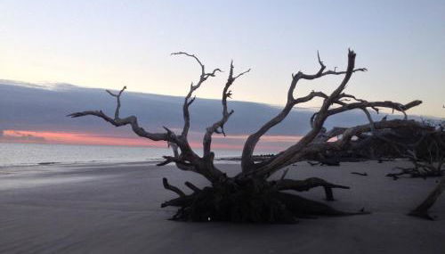 Sandy Toes A & B Whole Duplex - Foto 4