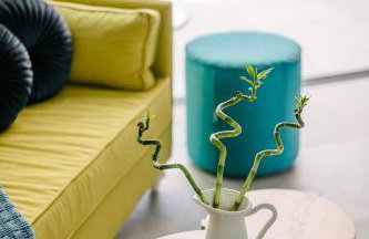 Irissa Suites - Foto 54