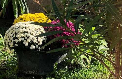 Les Fleurs De Lys, Suites'Appart , Entrée et Terrasse Privée Proche de la Mer - Foto 20