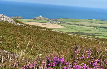 Charming coastal cottage - pet friendly! - Photo 31