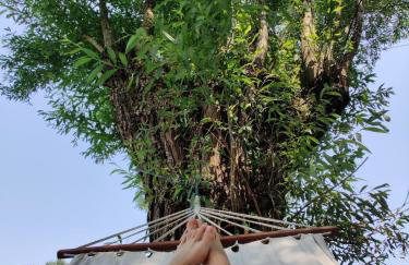 Dom Szumią Wierzby - Foto 53