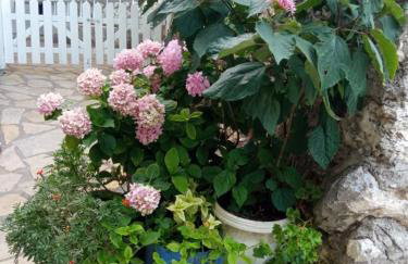 Lefki's house - Photo 47