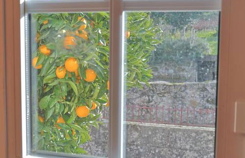 Casa De Vilar do Dão - Foto 41