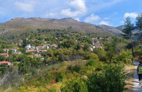 KTIMA ALEXANDROS - Photo 64