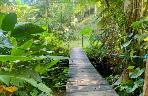 Eco Cabana a 150 metros da praia e centrinho - Foto 20