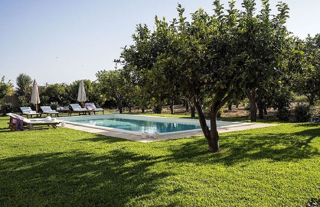 Don Salvatore - Foto 14