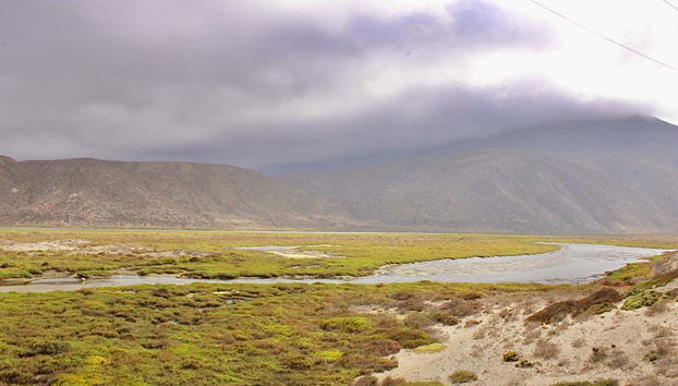 Paisajes del humedal del río Limarí