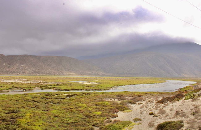 Birdwatching + Kayaking Tour - Photo 5