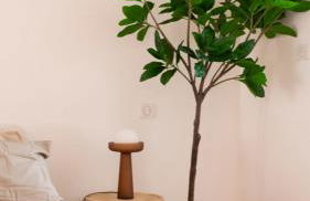 Le Mercœur, appartement calme en hypercentre - Foto 21