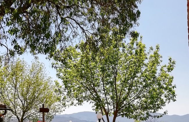 La Fonte di Montebuono - Foto 31