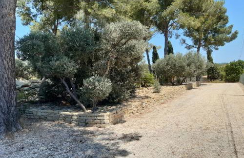 Mas jumelé 2 chambres dans cadre idyllique proximité mer - Foto 11