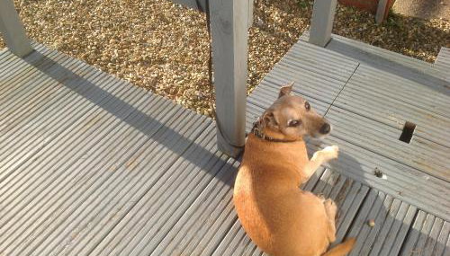 Sail Away Holiday Villa - Foto 2