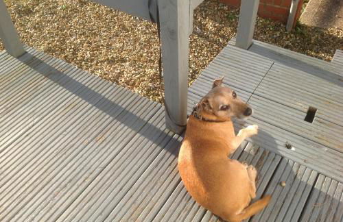 Sail Away Holiday Villa - Foto 2