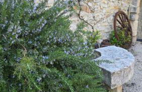 Domaine familial avec grand parc et piscine - Foto 20