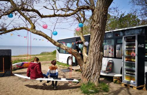 Familienfreundliches Ferienhaus Salzhaff-Urlaub - Foto 35