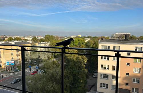 Racławickie 28A - Foto 16