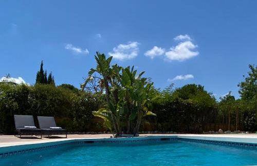 Chalet - Casa móvil Pinos - 3 beds, pool, private garden - Photo 23