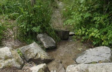 UplandParcs Haus Bergsicht - Photo 54