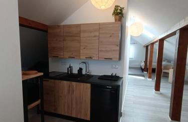 Włostowicka Ostoja Apartament - Foto 5