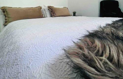 Mountain Vista Luxury Retreat! - Foto 55