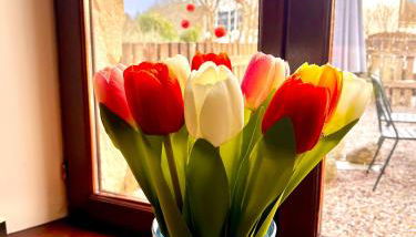 Le Plantier2 - Foto 3