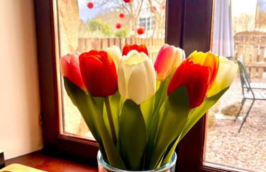 Le Plantier2 - Foto 3