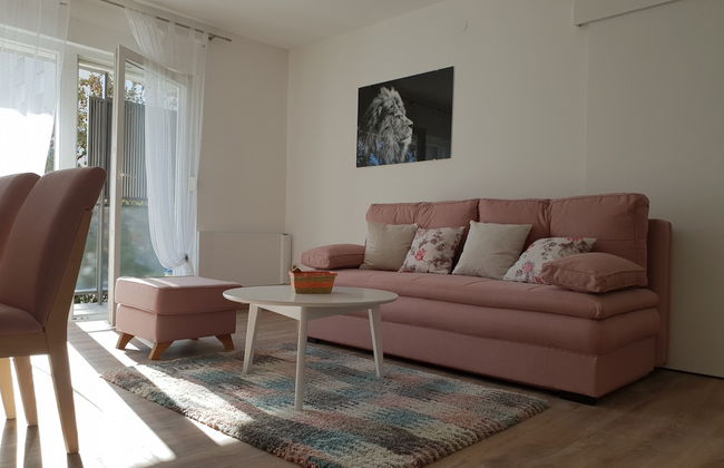 Lion Apartment Zagreb - Photo 8