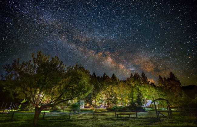 Out 'N' About Treehouse Treesort - Foto 60