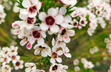 Casa do Alto (top floor apartment) - Foto 59