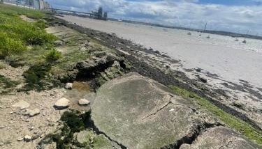 Cosy Flat behind a CreekBeach in Grays - Foto 5