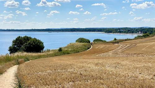 Fewo Horst 1 rot - Foto 4