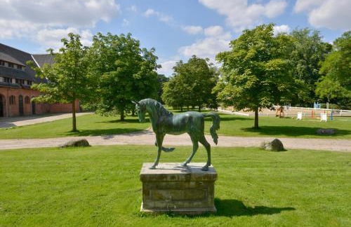 Ferien und Pferdehof Gut Klein Nienhagen - Foto 24