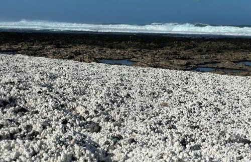 MarVillaFuerte - Foto 58