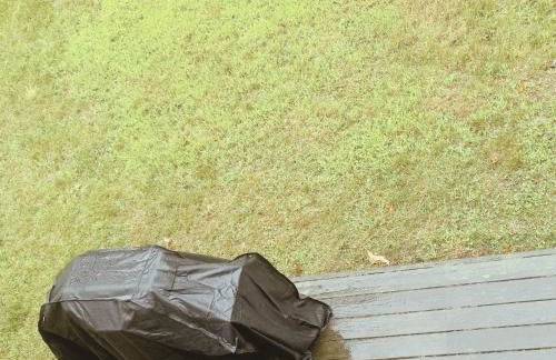 Quiet Cozy Stay Spacious Home Near Beach & Shops - Foto 31