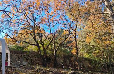 Les Ribas villa groupe, de 4 a 14 personnes, maison familiale, séjour nature, calme, Provence, Plaine des Maures, proche mer, Verdon, randonnée, terrain arboré, jeux enfants, pétanque, ping-pong, cuisine équipée, grande capacité, vacances en groupe - Foto 25