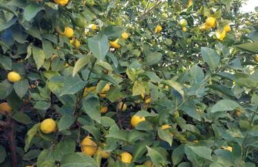 Apartment Dolphins - Photo 52